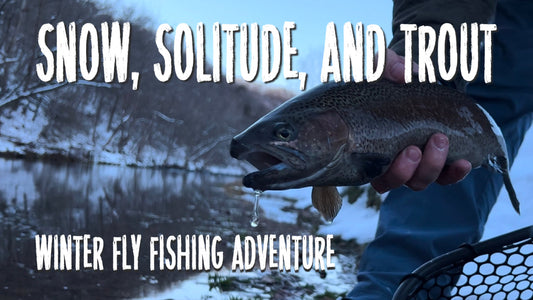 Snow, Solitude, and Trout: Winter Fly Fishing Adventure