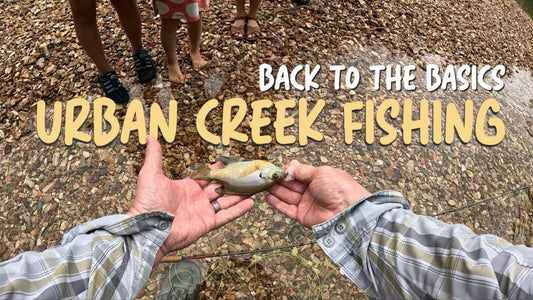 Urban Creek Fly Fishing Back to the Basics Northwest Arkansas
