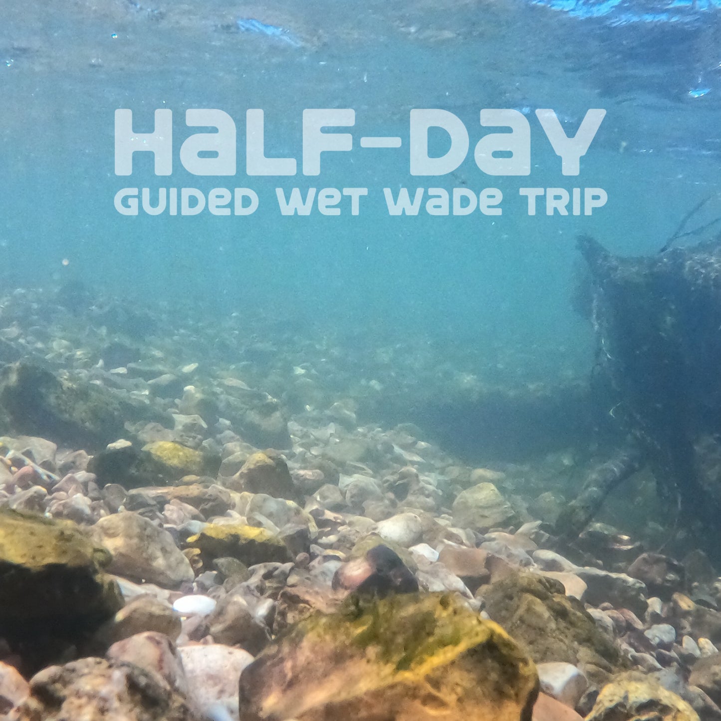 Half-Day Guided Wade Trip (Sat Sept 5 2026)
