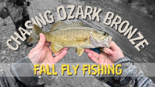 Chasing Ozark Bronze: Fall Fly Fishing