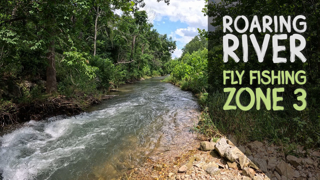 Roaring River Trout | Fly Fishing Zone 3 | SW Missouri