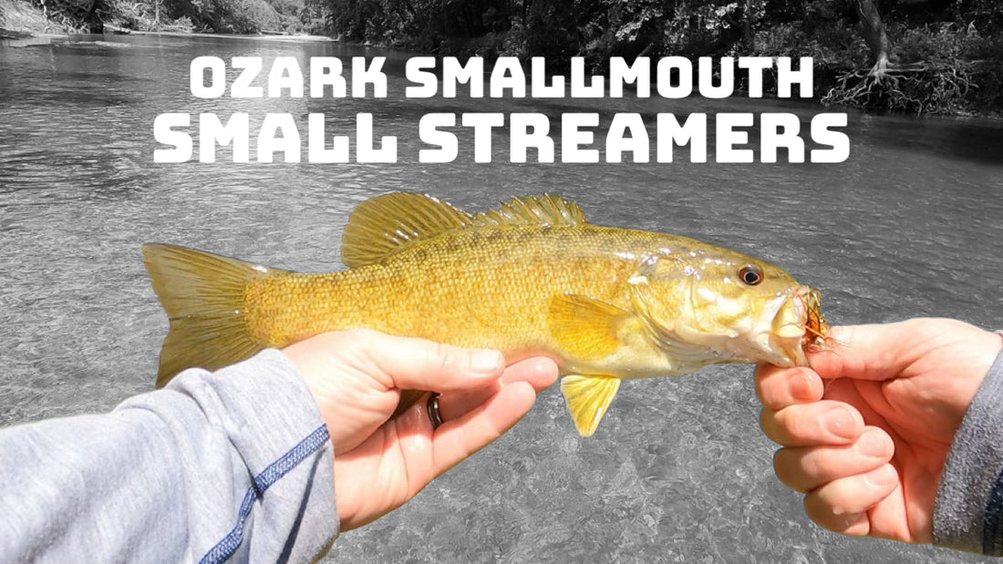 Fly Fishing with Small Streamers on Small Creeks