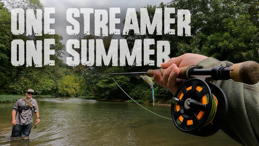 One Fly Pattern All Summer Chasing Ozark Smallmouth