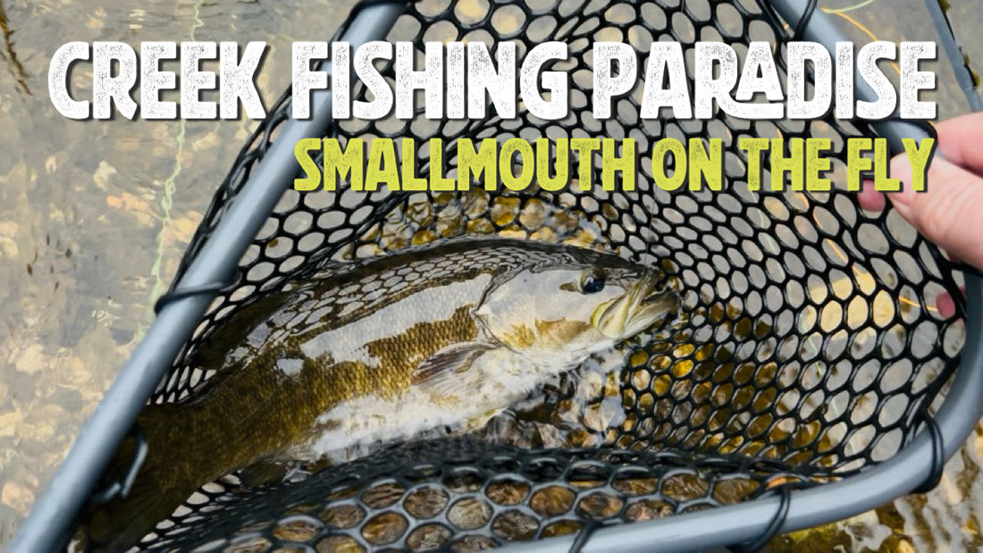 Creek Fishing Paradise Smallmouth on the Fly