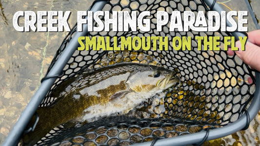 Creek Fishing Paradise Smallmouth on the Fly