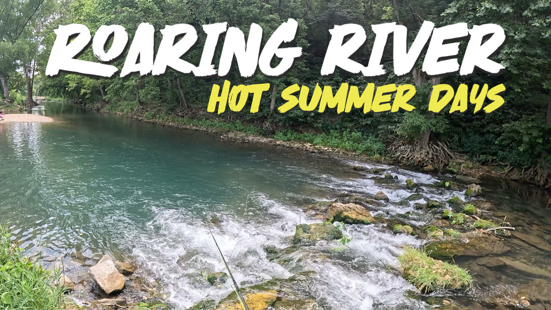 Hot Ozarks Summer Fly Fishing for Trout at Roaring River
