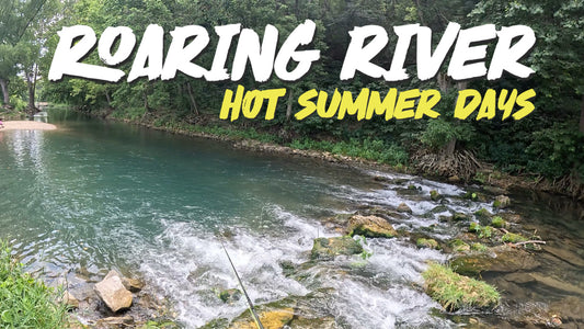 Hot Ozarks Summer Fly Fishing for Trout at Roaring River