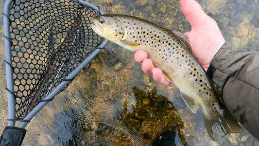 Trout Leader Setup – Simple & Effective